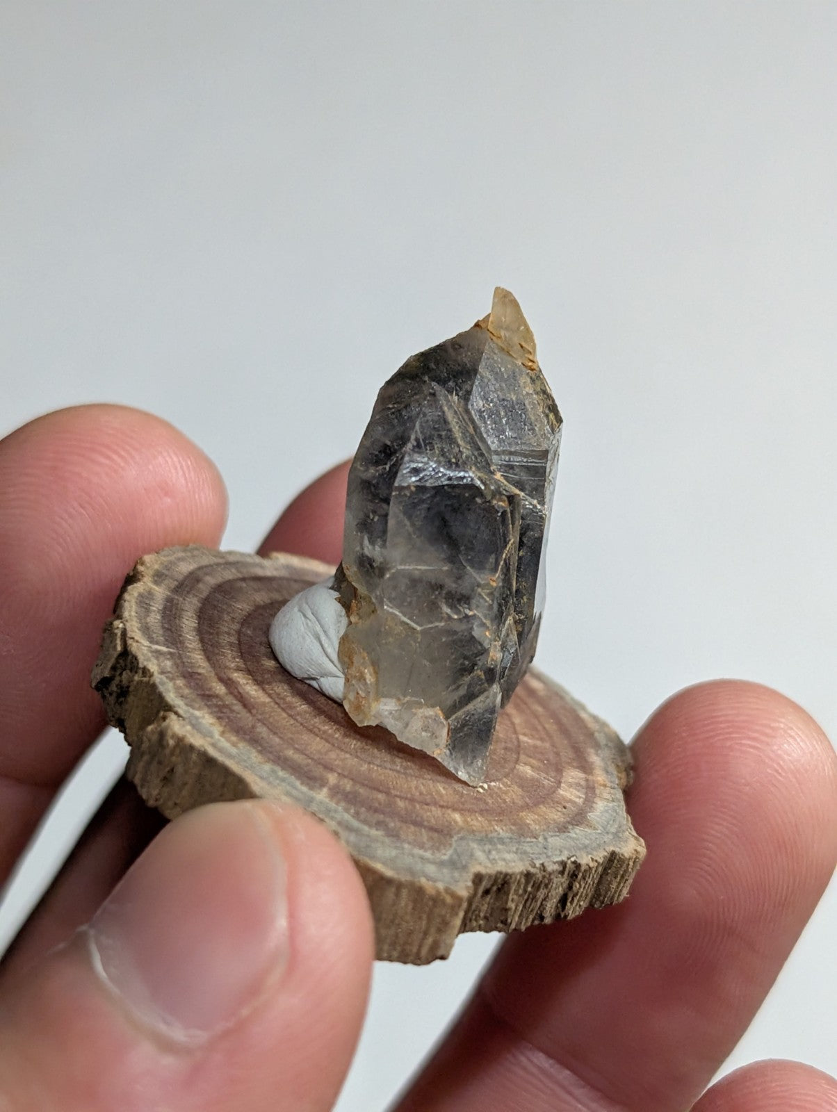 A translucent gray quartz crystal with a pointed tip and visible internal striations, displayed upright on a circular wooden slice.