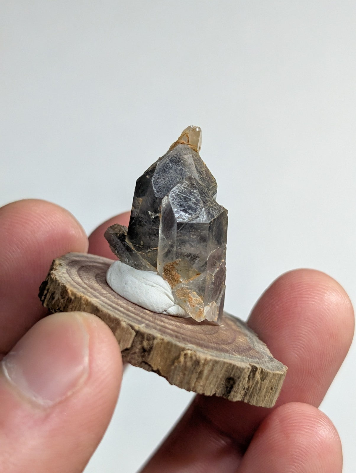 A clear quartz crystal cluster with a dark, translucent base and golden-tinted tips rests on a rustic wooden slice.