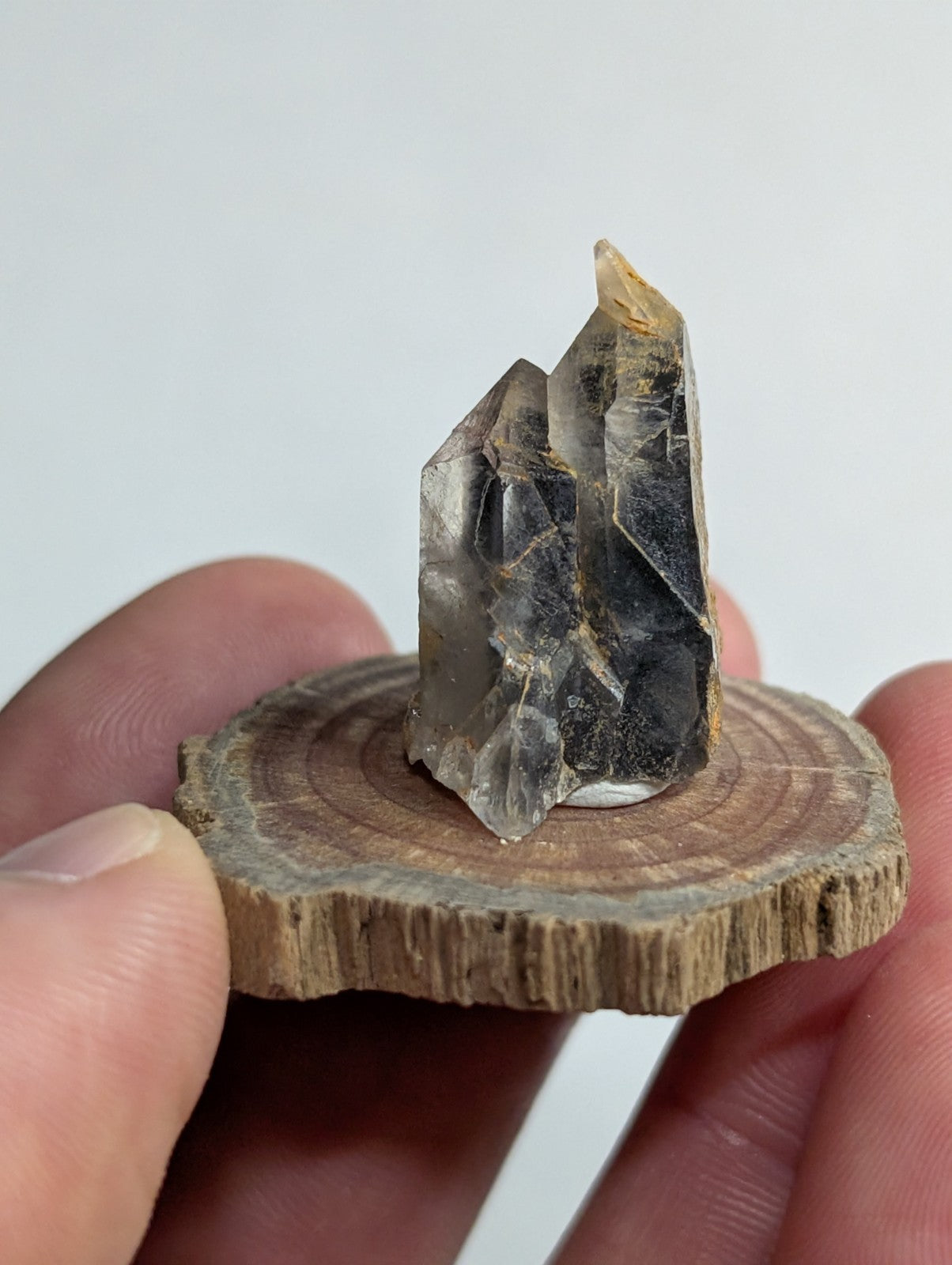 A translucent, multi-faceted crystal with dark inclusions and a pointed tip rests on a circular wooden slice.