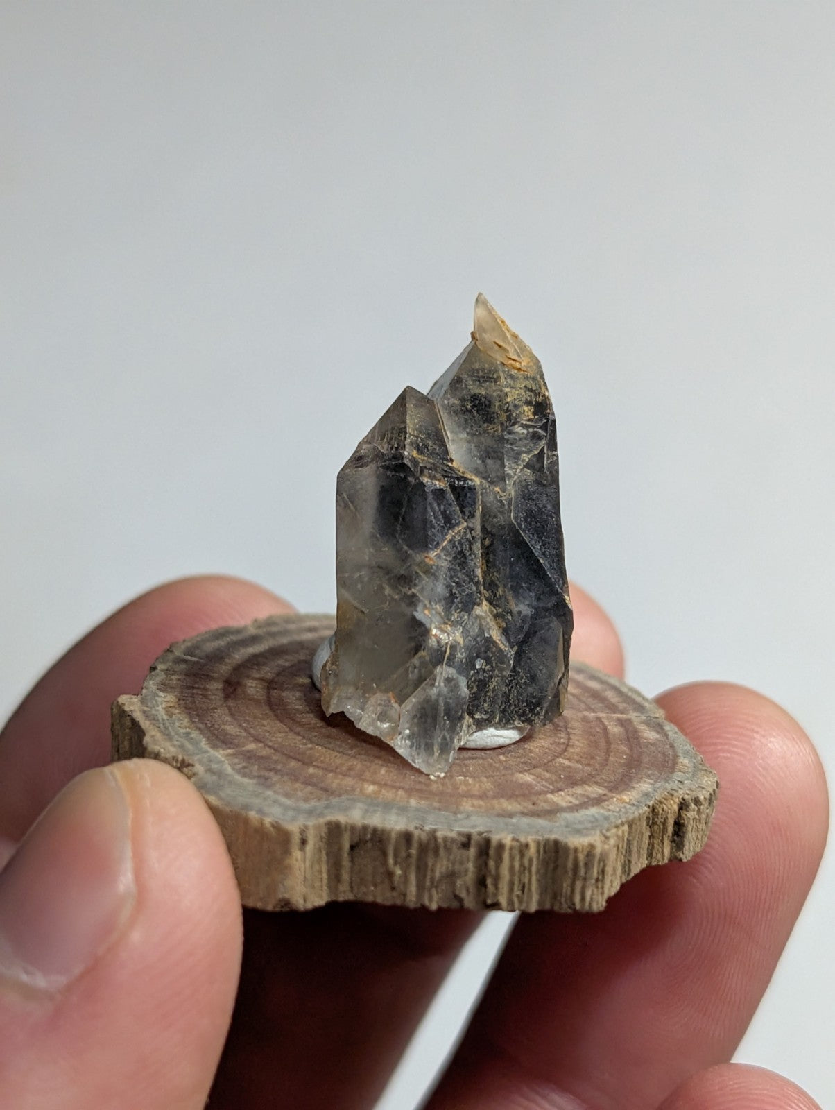 A translucent smoky quartz crystal cluster with sharp, faceted points and subtle internal veining rests on a rustic wooden slice.