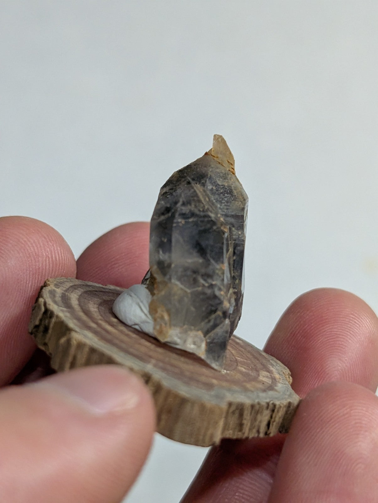 A translucent gray crystal with a pointed tip, resting on a circular wooden slice.
