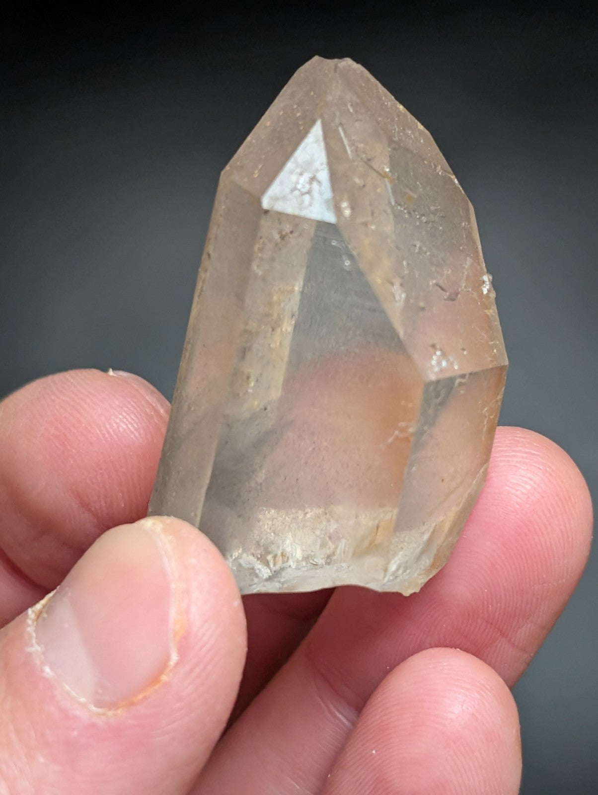 Phantom Quartz Crystal Point w/ amazing etchings Garland County Arkansas RARE - Collectibles:Rocks Fossils &