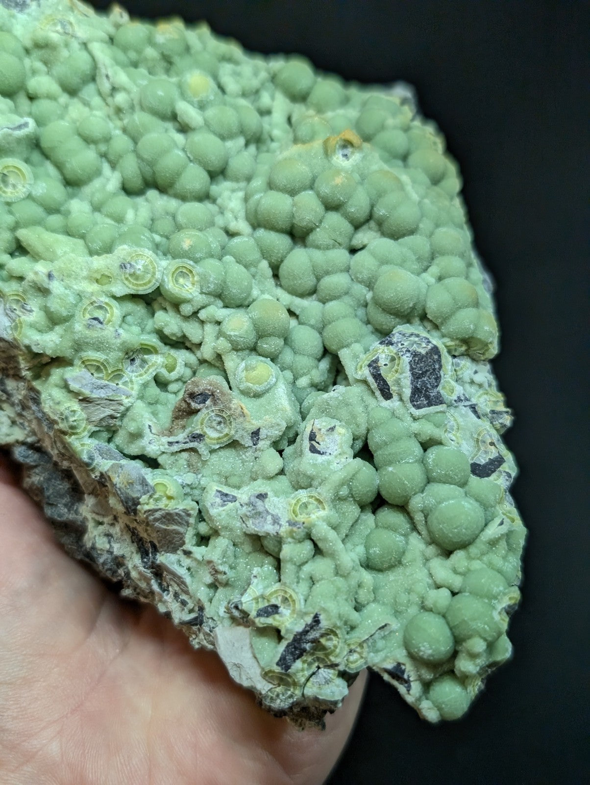 A textured, light green mineral specimen with rounded, bubble-like formations and embedded darker inclusions.