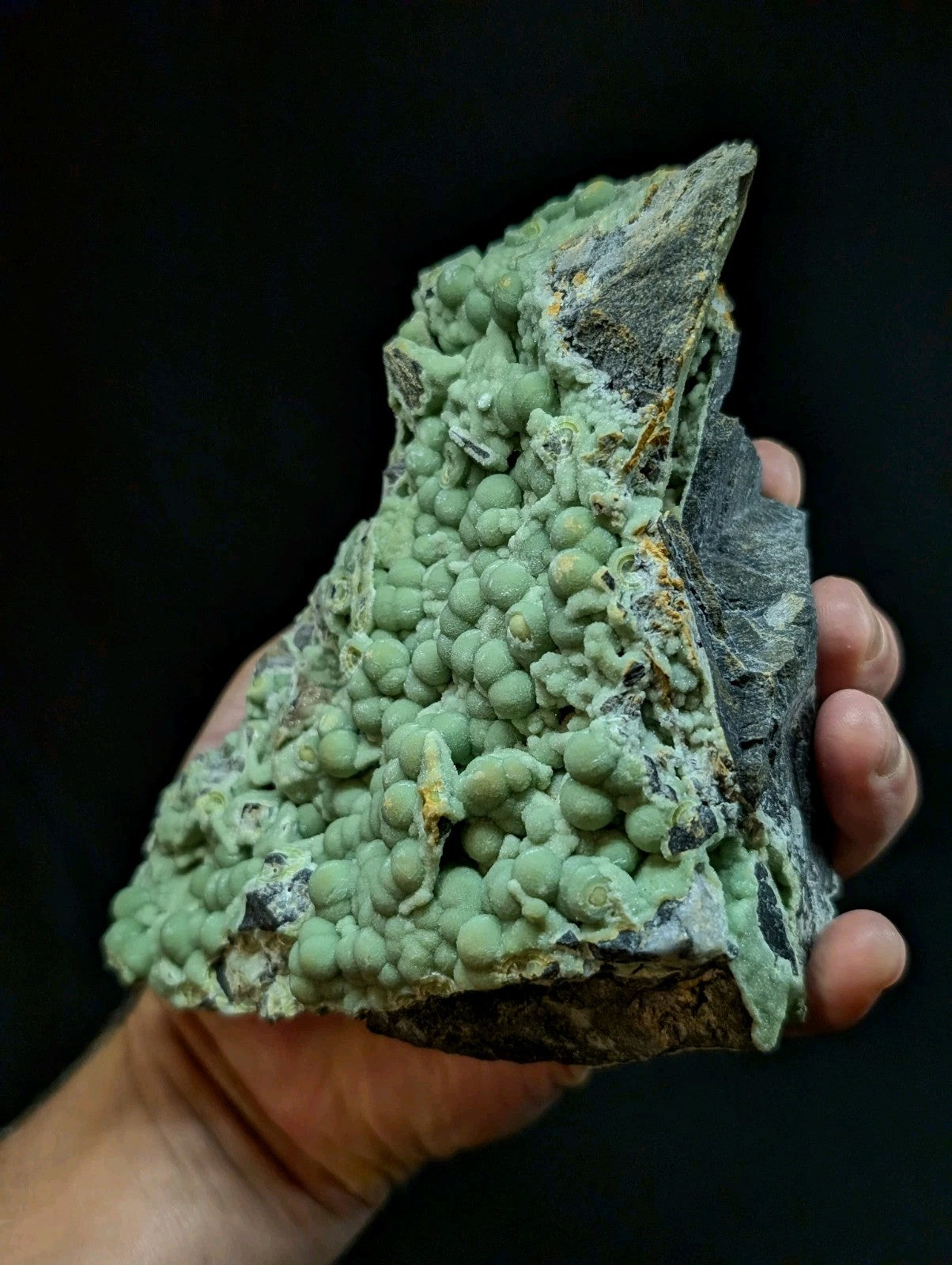 A hand holds a geological specimen featuring clusters of vibrant green, rounded nodules growing on a dark gray rock matrix.