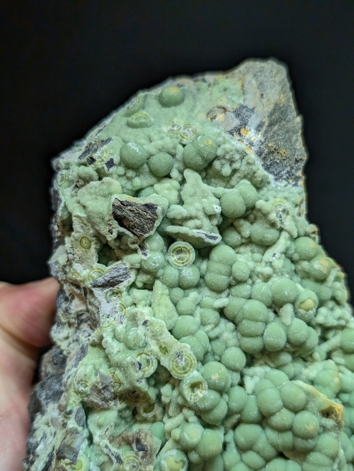 A green, textured mineral specimen with rounded, bulbous formations and a rough, rocky base.