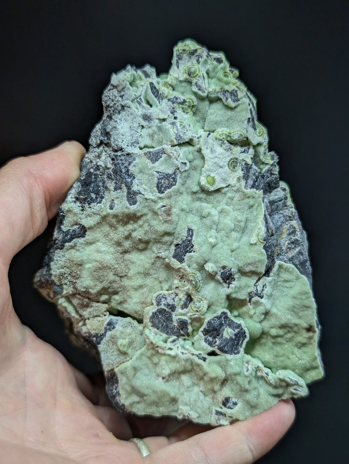 A hand holds a rough, irregularly shaped specimen of greenish-gray mineral with dark patches and small circular formations.