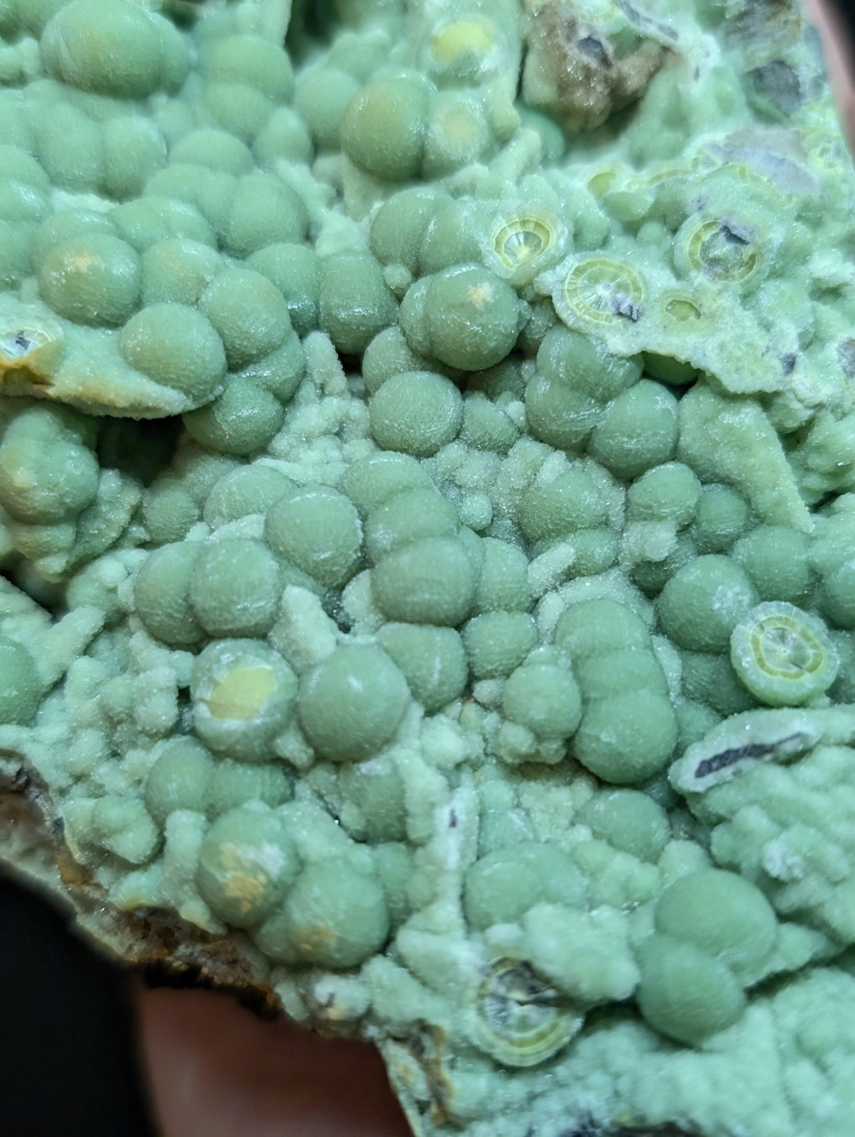A cluster of light green, spherical mineral formations with some exhibiting concentric rings and subtle yellowish highlights.