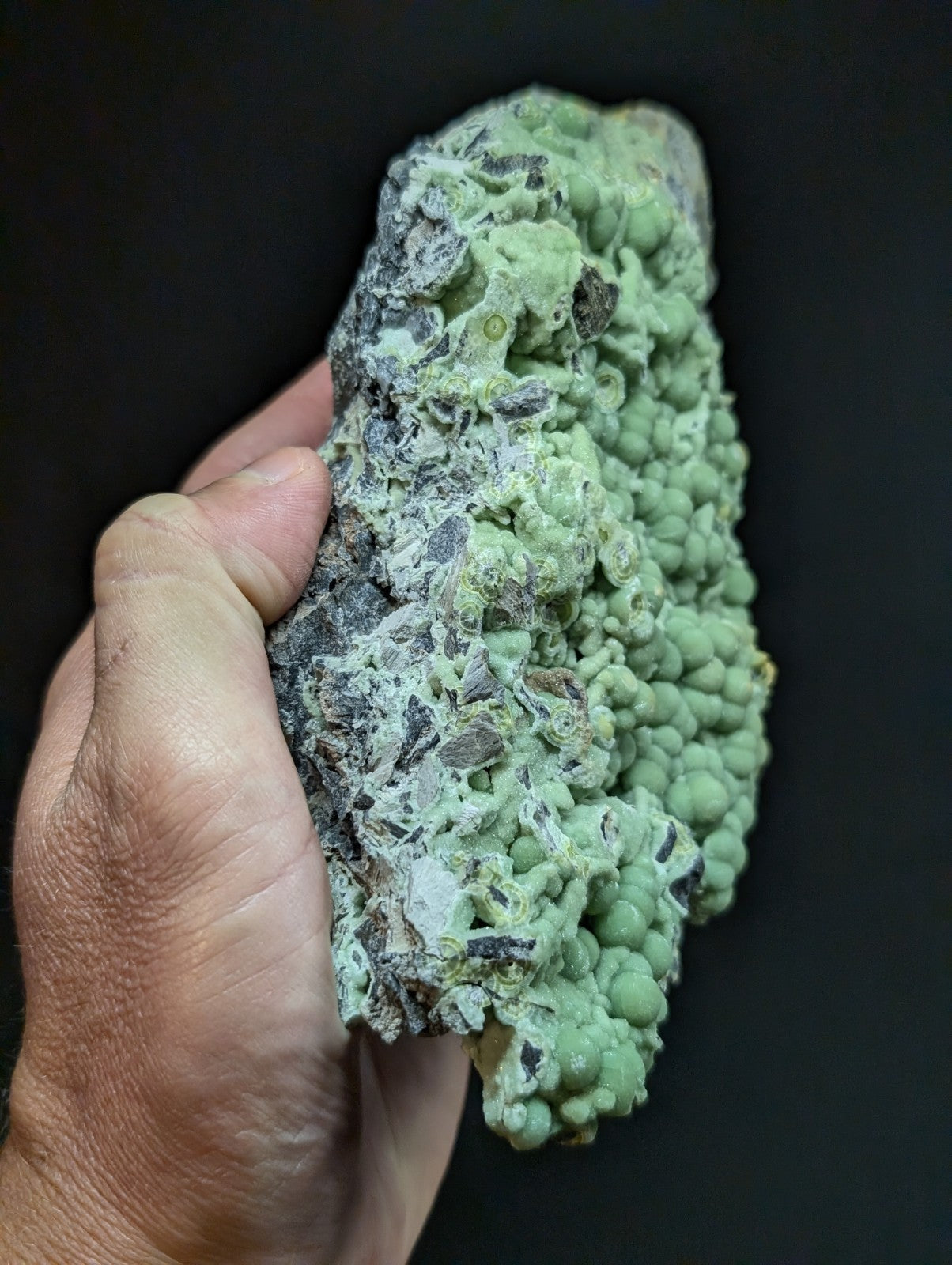 A textured, light green mineral specimen with a bumpy surface and embedded darker gray rock fragments.