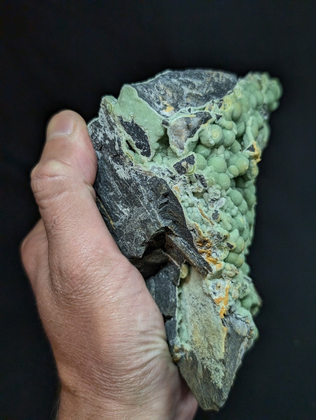 A hand holds a dark gray rock specimen featuring clusters of vibrant green, bead-like mineral formations with subtle yellowish accents.