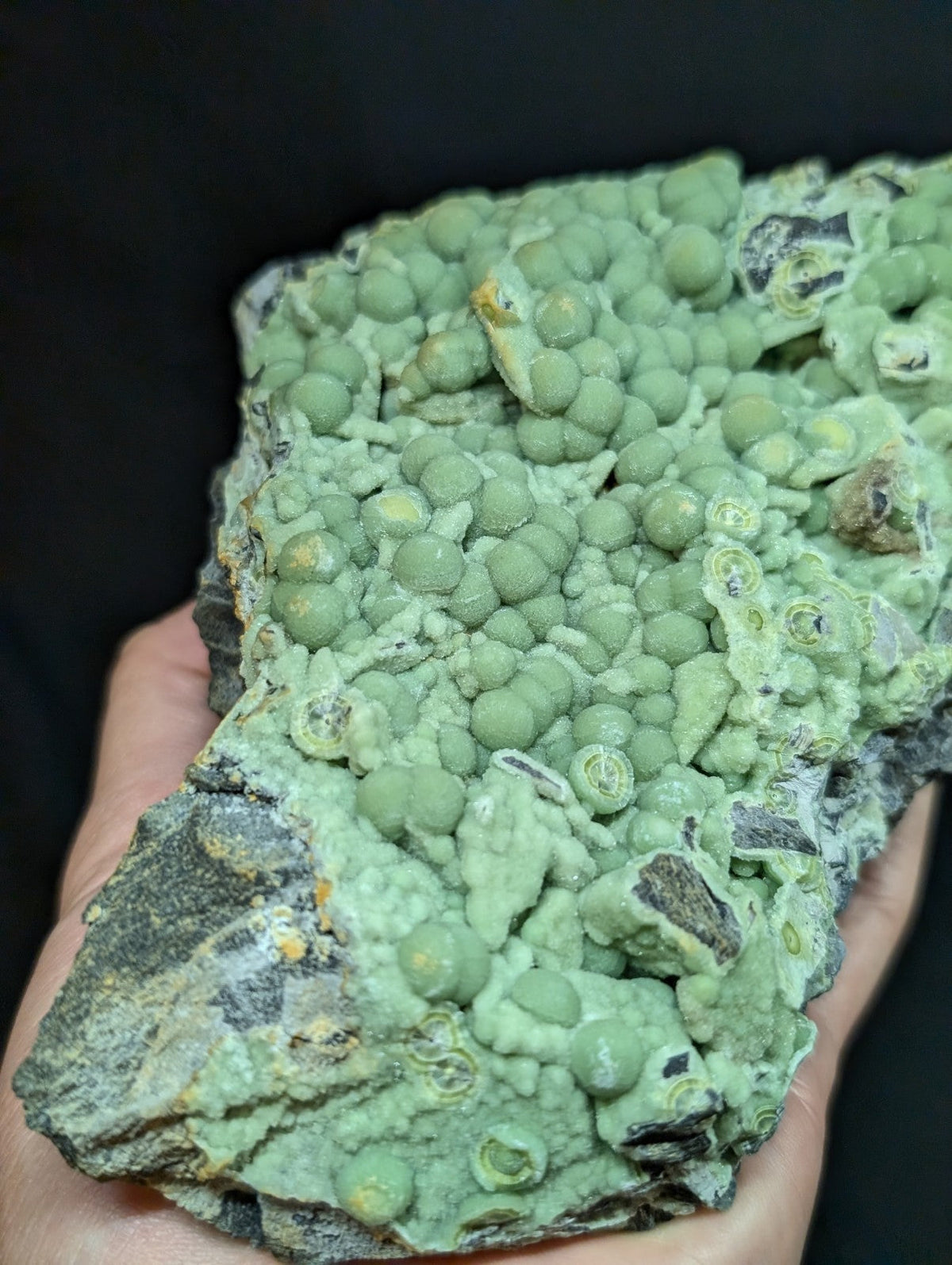 A hand holds a rough, irregularly shaped mineral specimen featuring numerous small, rounded green nodules clustered together on a darker gray matrix.