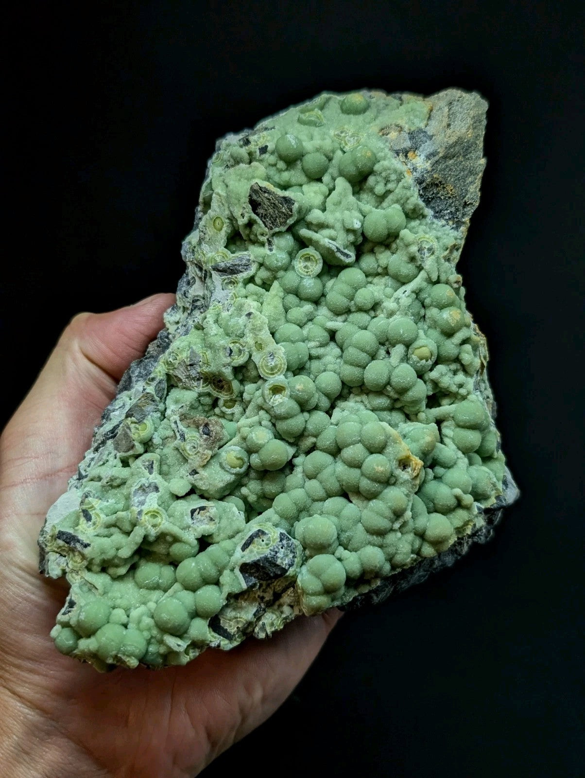 A hand holds a green, textured mineral specimen featuring numerous rounded, bulbous formations clustered together on an irregular rock base.