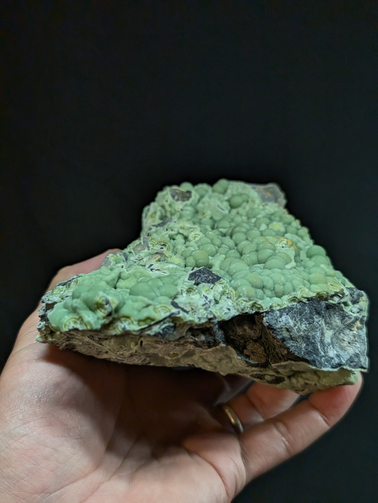 A hand holds a green, bumpy mineral specimen with rounded nodules and darker grayish rock matrix.