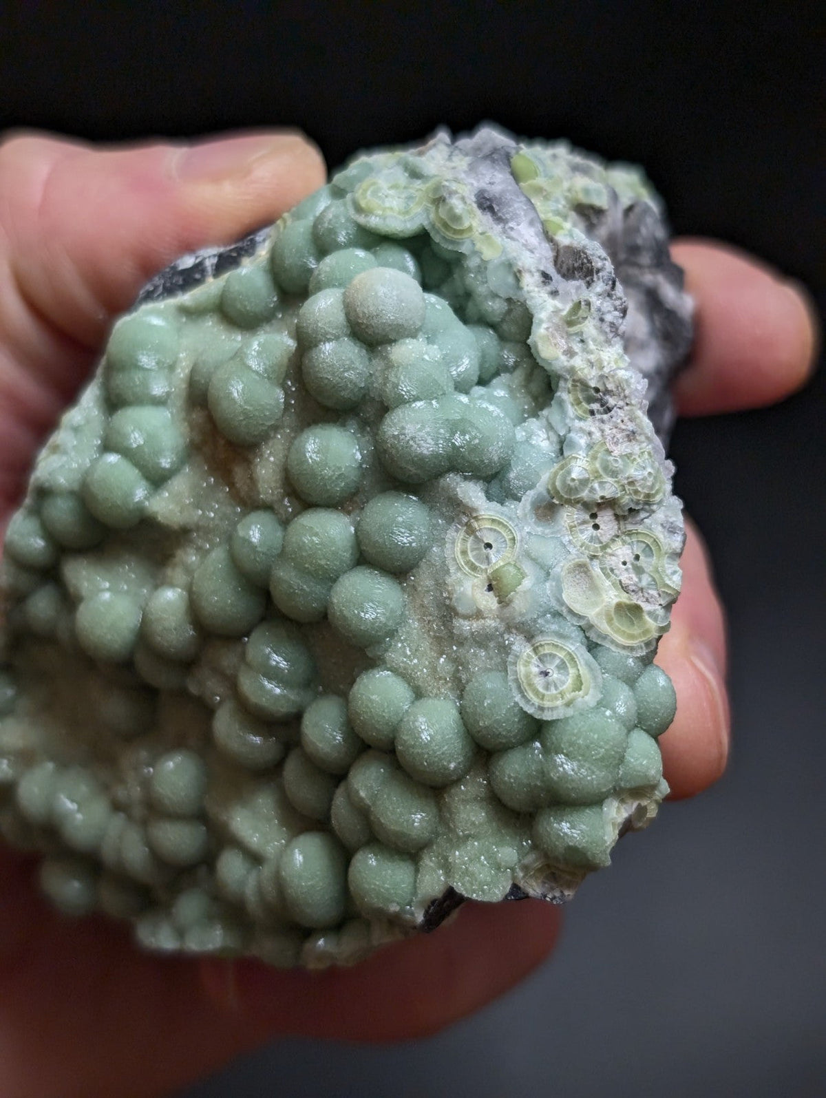 A hand holds a pale green, textured mineral specimen featuring clusters of rounded, bead-like formations and circular patterns.