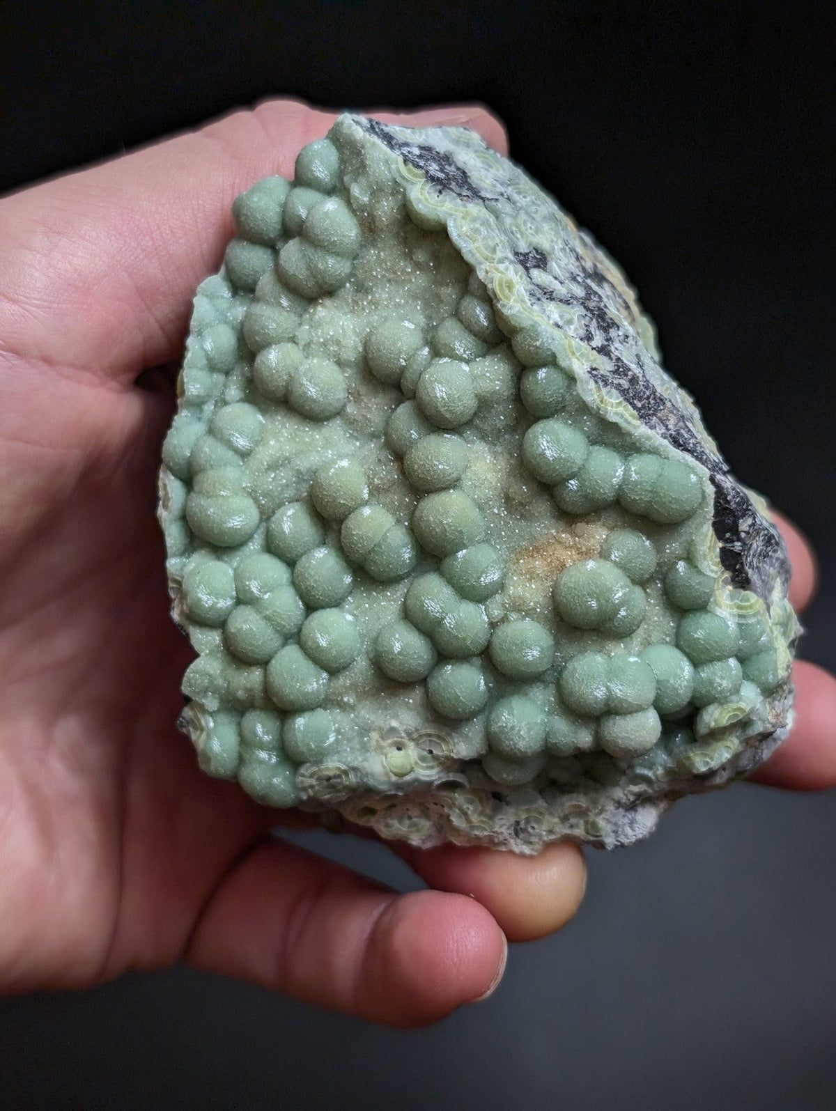A hand holds a rough, irregularly shaped mineral specimen featuring numerous small, rounded green nodules clustered together on a lighter gray matrix with dark veining.