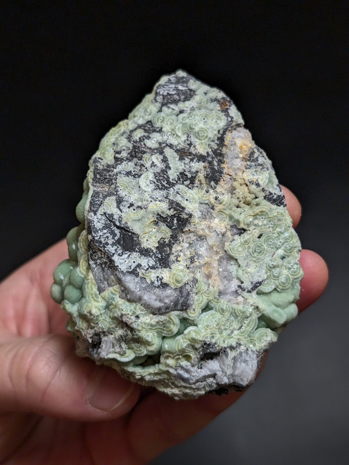 A hand holds a uniquely carved green and black stone with intricate, swirling patterns resembling coral or cloud formations.