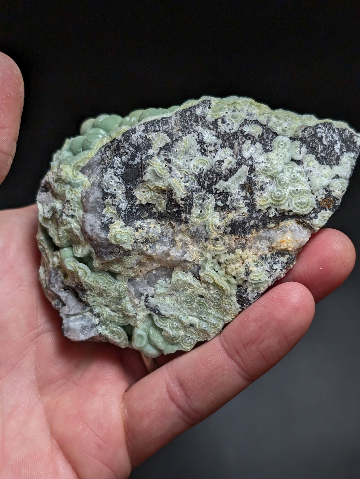 A hand holds a rough, irregularly shaped piece of greenish-gray mineral with intricate, swirling patterns resembling coral or fossilized growths.