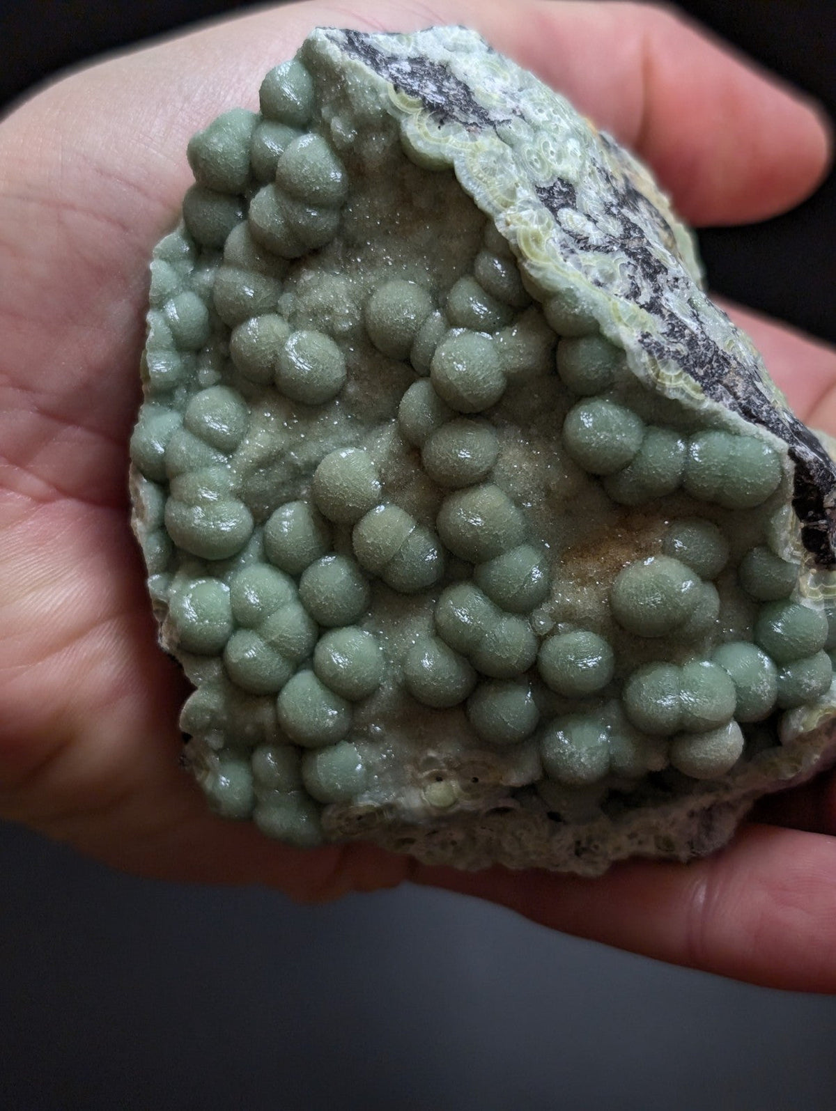 A hand holds a geological specimen featuring numerous smooth, pale green spherical formations clustered together on a rougher, lighter-colored rock base with dark veining.