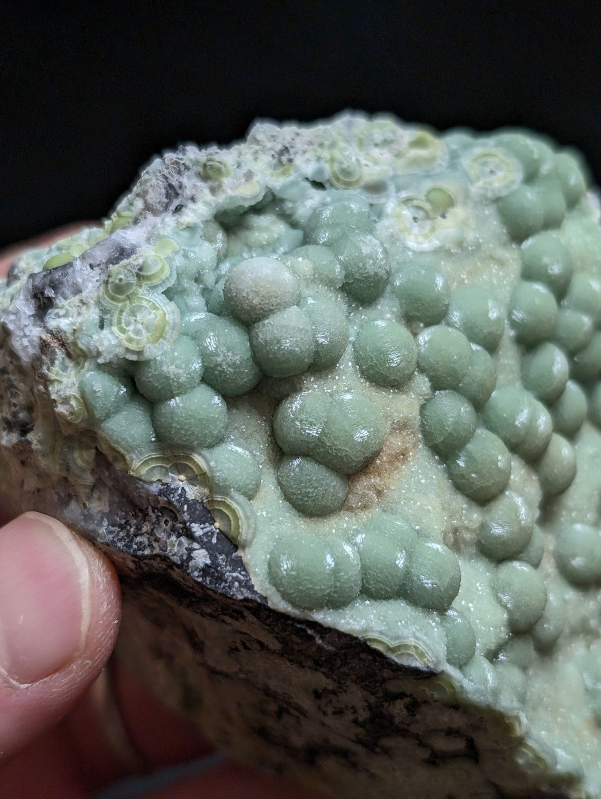 A hand holds a specimen of green, spherical mineral formations embedded in a rough, dark matrix rock.