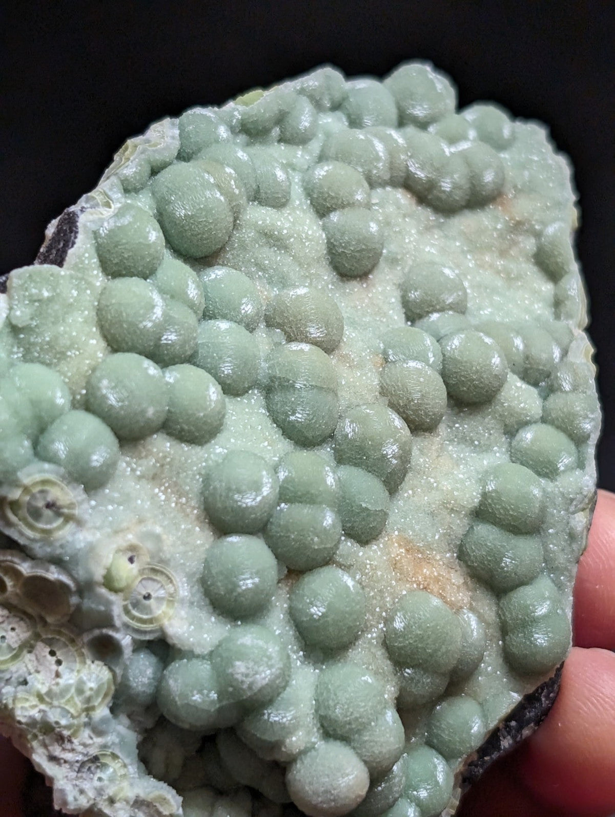 A pale green, spherical mineral specimen with a crystalline matrix and subtle white veining.