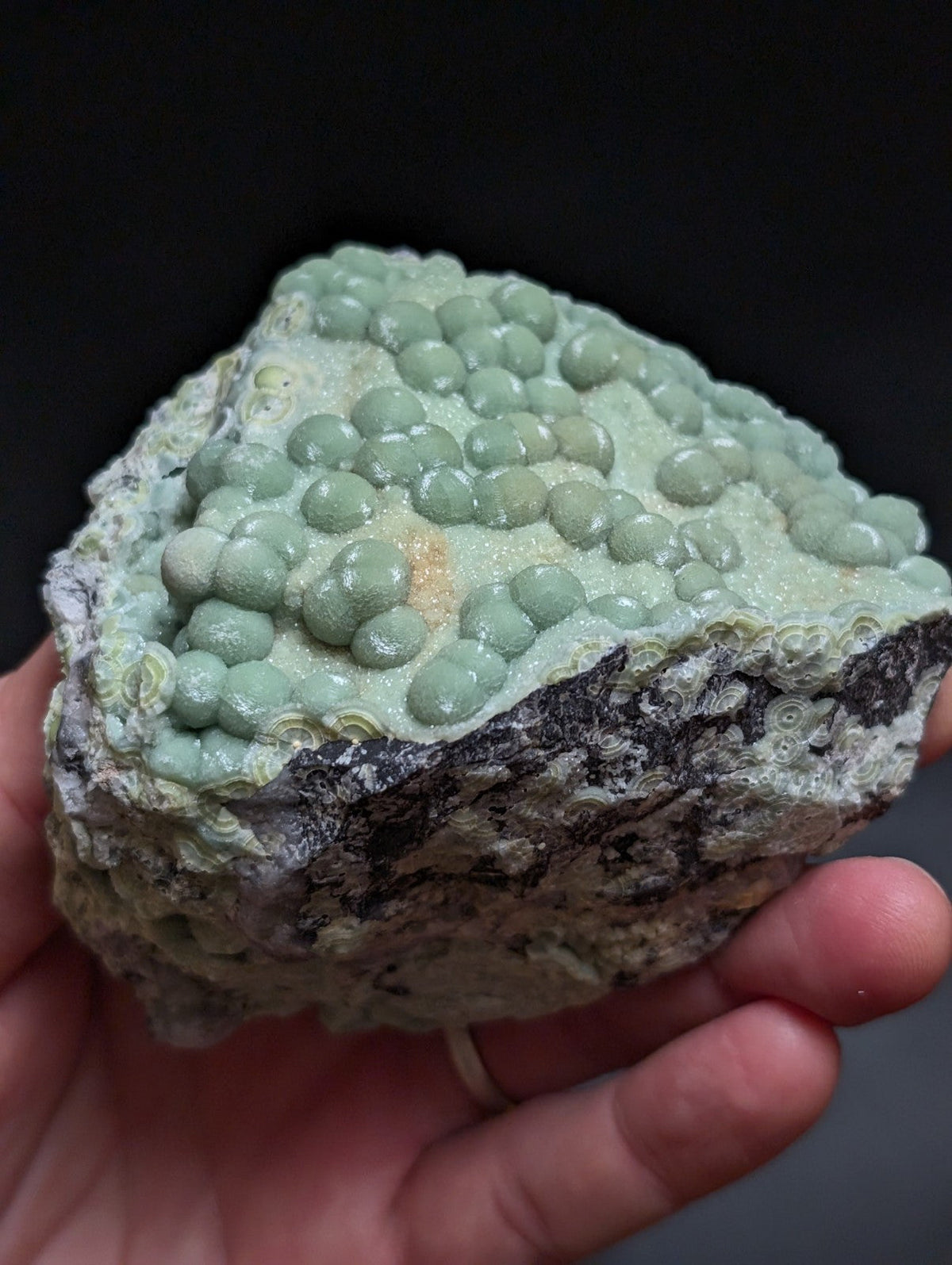 A hand holds a rough, irregularly shaped rock specimen featuring clusters of smooth, light green spherical formations against a darker, textured matrix.