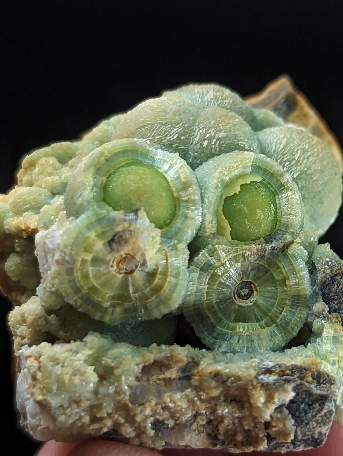 Phenomenal Wavellite - Old Stock w/ Large Eyes - Mauldin Mountain Arkansas - Collectibles:Rocks Fossils &