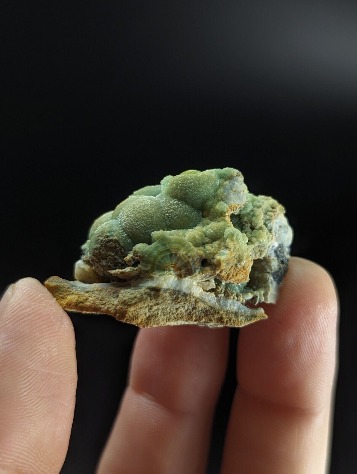 Phenomenal Wavellite - Old Stock w/ Large Eyes - Mauldin Mountain Arkansas - Collectibles:Rocks Fossils &