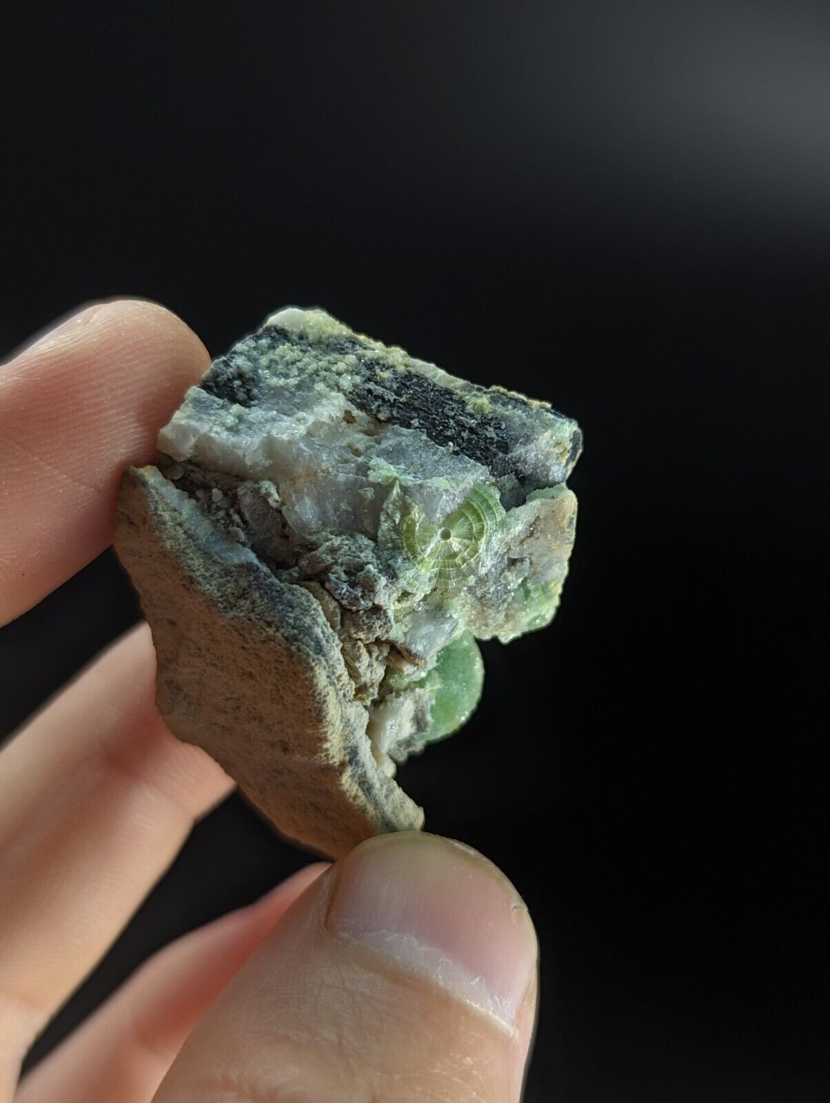 Phenomenal Wavellite - Old Stock w/ Large Eyes - Mauldin Mountain Arkansas - Collectibles:Rocks Fossils &