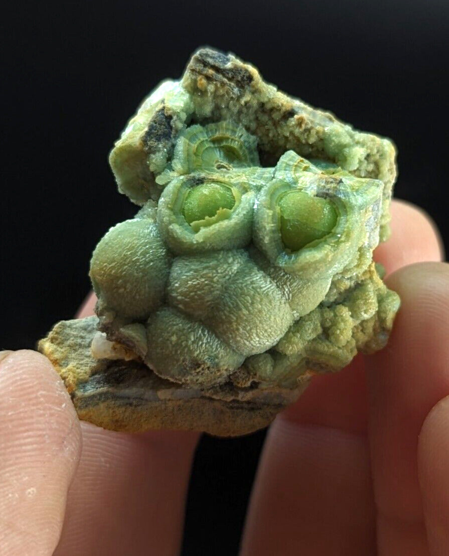 Phenomenal Wavellite - Old Stock w/ Large Eyes - Mauldin Mountain Arkansas - Collectibles:Rocks Fossils &