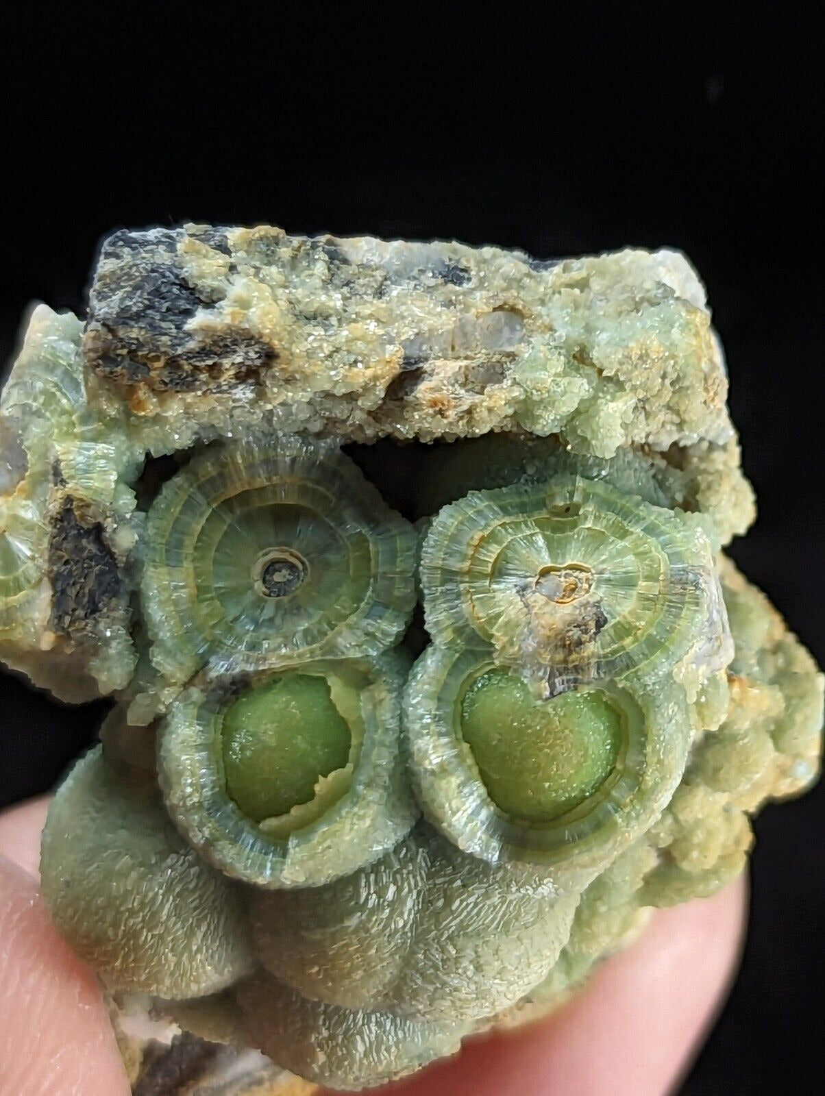 Phenomenal Wavellite - Old Stock w/ Large Eyes - Mauldin Mountain Arkansas - Collectibles:Rocks Fossils &