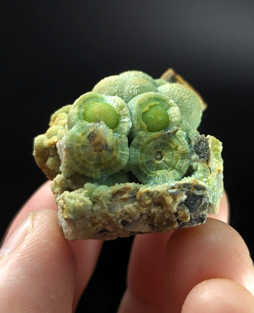 Phenomenal Wavellite - Old Stock w/ Large Eyes - Mauldin Mountain Arkansas - Collectibles:Rocks Fossils &