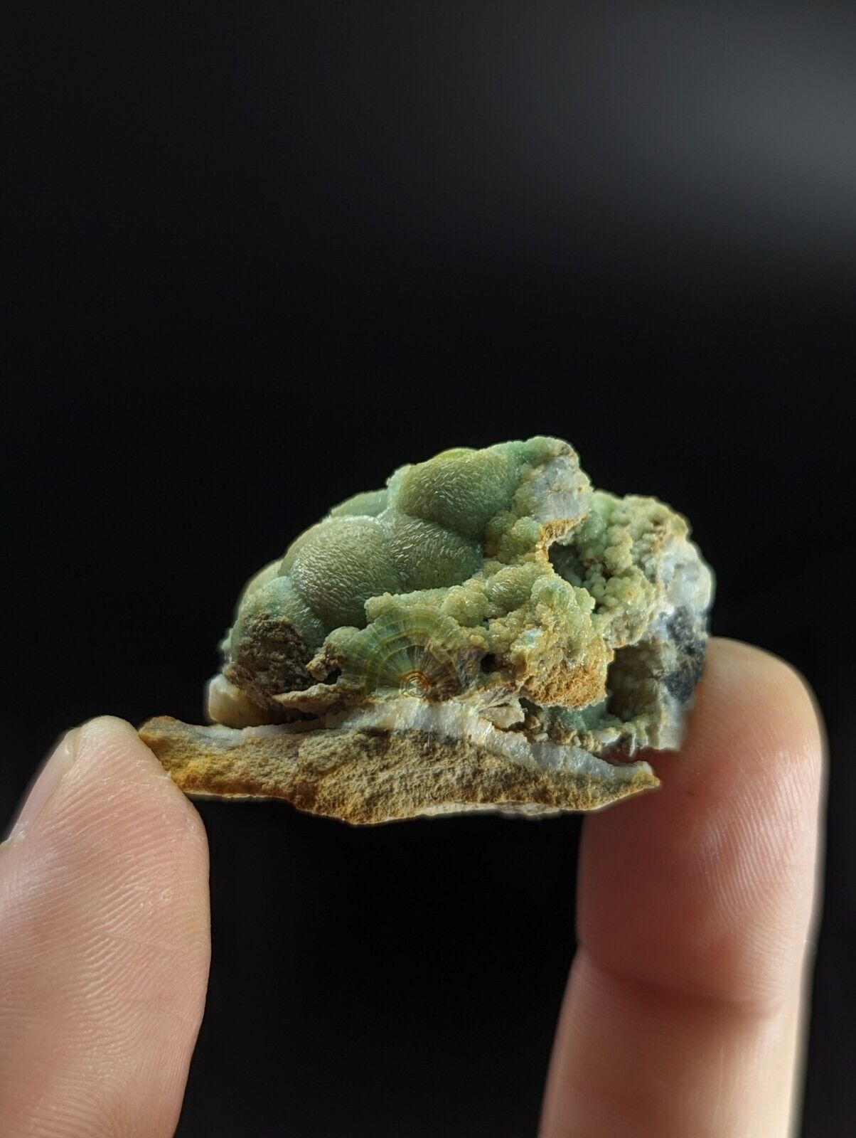 Phenomenal Wavellite - Old Stock w/ Large Eyes - Mauldin Mountain Arkansas - Collectibles:Rocks Fossils &