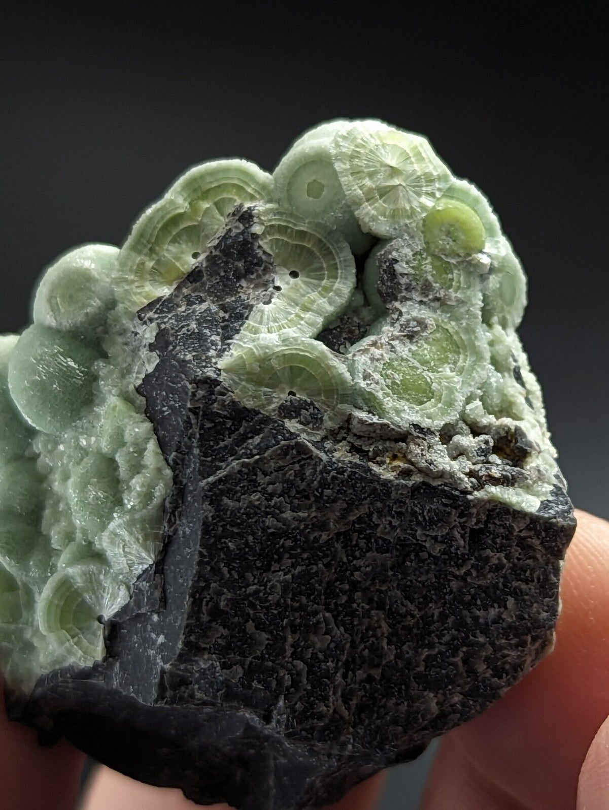 Phenomenal Wavellite - Sculptural Old Stock - Mauldin Mountain Arkansas A + + + - Collectibles:Rocks Fossils &