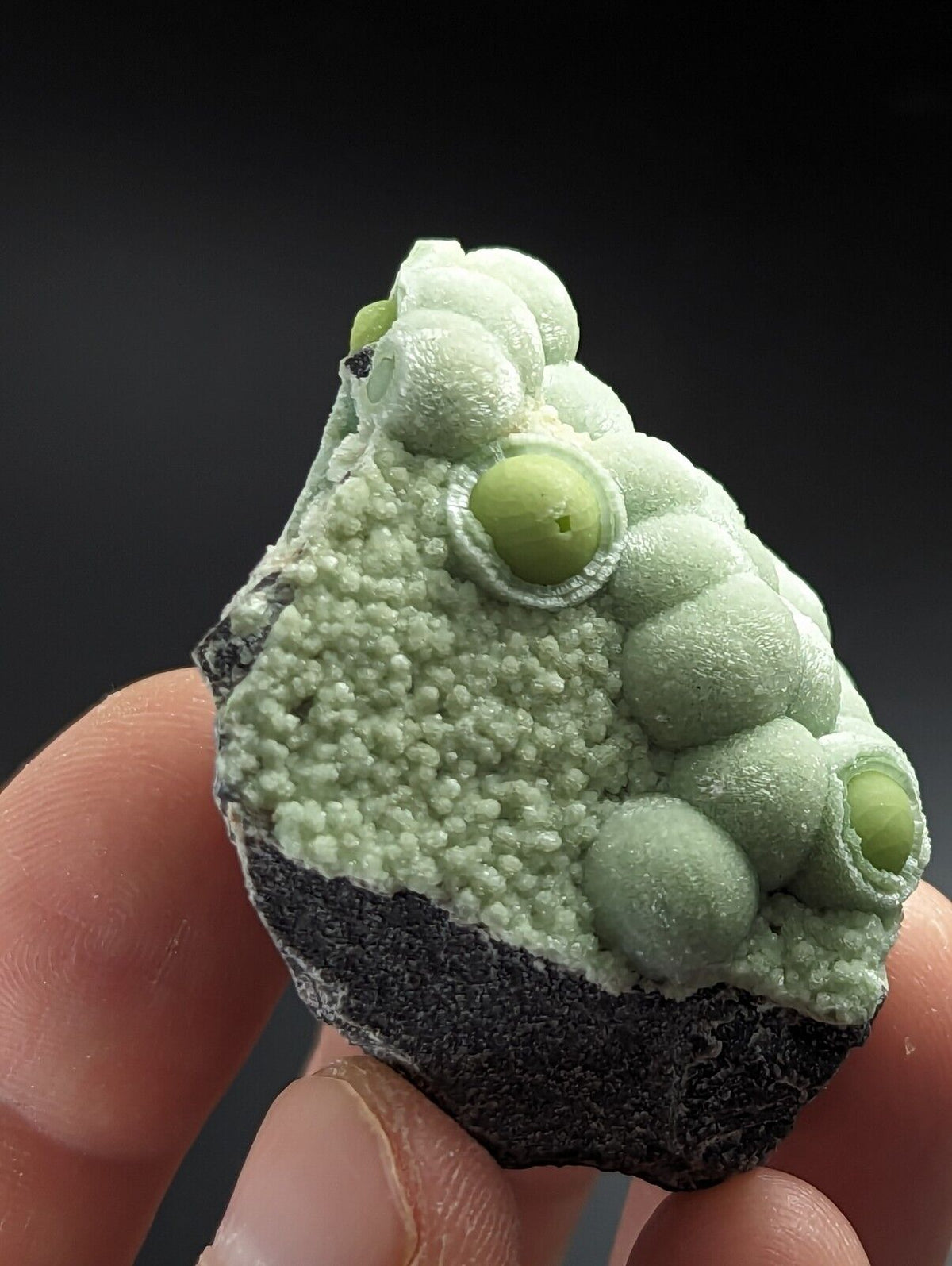 Phenomenal Wavellite - Sculptural Old Stock - Mauldin Mountain Arkansas A + + + - Collectibles:Rocks Fossils &