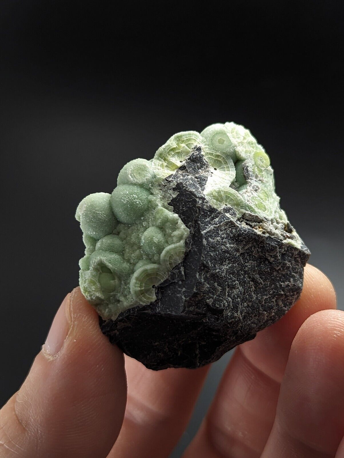 Phenomenal Wavellite - Sculptural Old Stock - Mauldin Mountain Arkansas A + + + - Collectibles:Rocks Fossils &