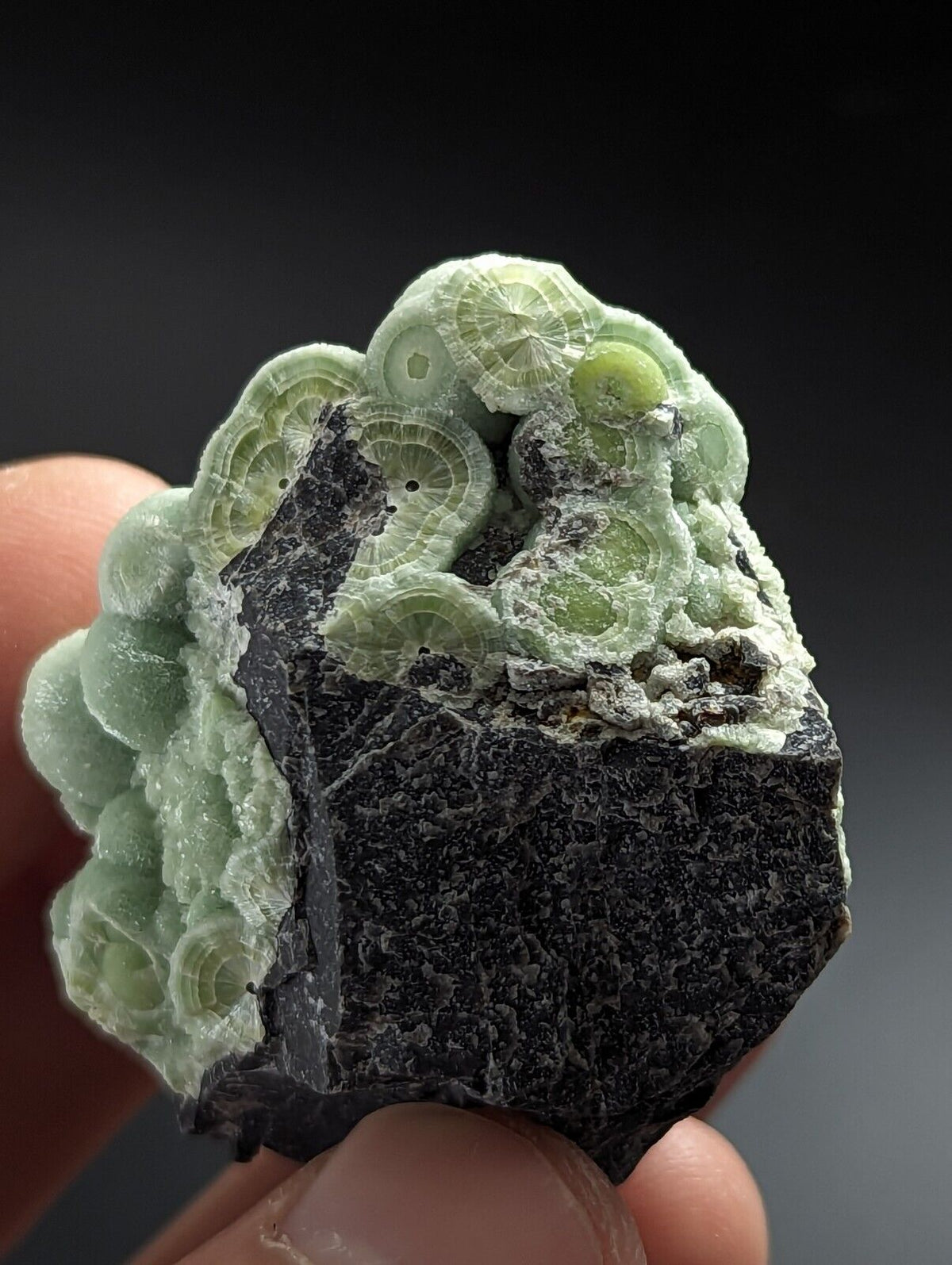 Phenomenal Wavellite - Sculptural Old Stock - Mauldin Mountain Arkansas A + + + - Collectibles:Rocks Fossils &