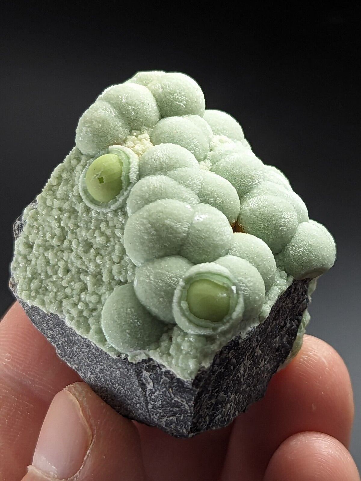 Phenomenal Wavellite - Sculptural Old Stock - Mauldin Mountain Arkansas A + + + - Collectibles:Rocks Fossils &