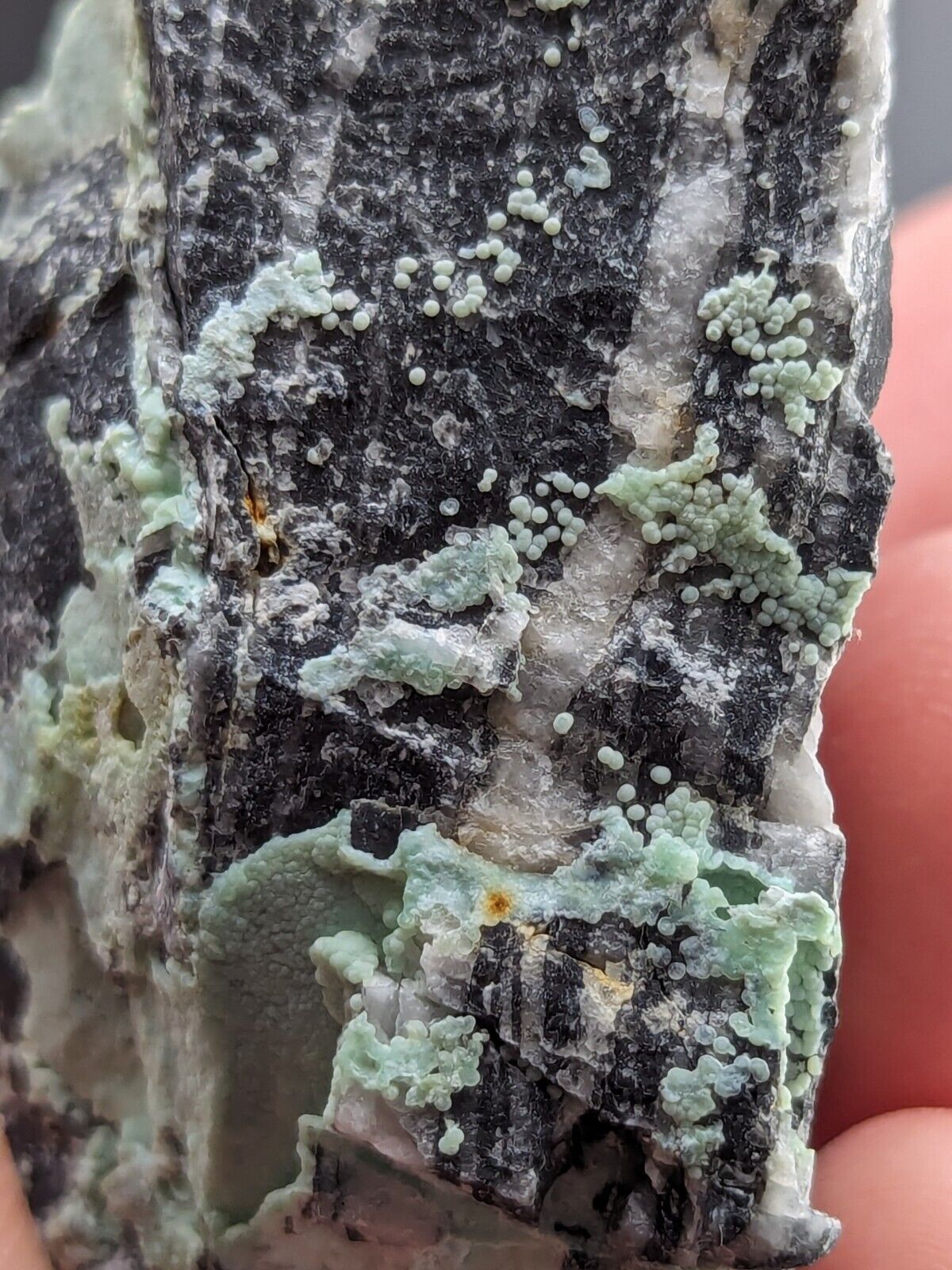 Planerite Mauldin Mountain Montgomery Co. Arkansas USA (Old Stock) - Collectibles:Rocks Fossils & Minerals:Crystals