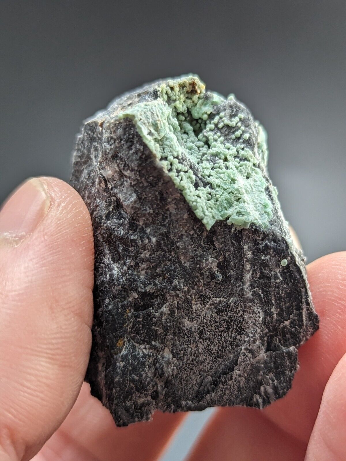 Planerite Mauldin Mountain Montgomery Co. Arkansas USA (Old Stock) - Collectibles:Rocks Fossils & Minerals:Crystals