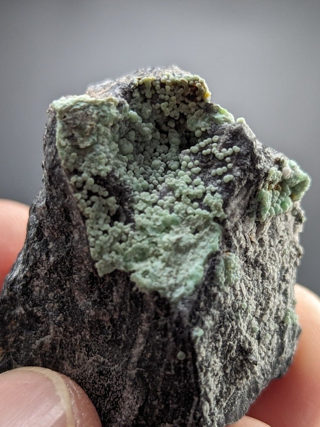 Planerite Mauldin Mountain Montgomery Co. Arkansas USA (Old Stock) - Collectibles:Rocks Fossils & Minerals:Crystals