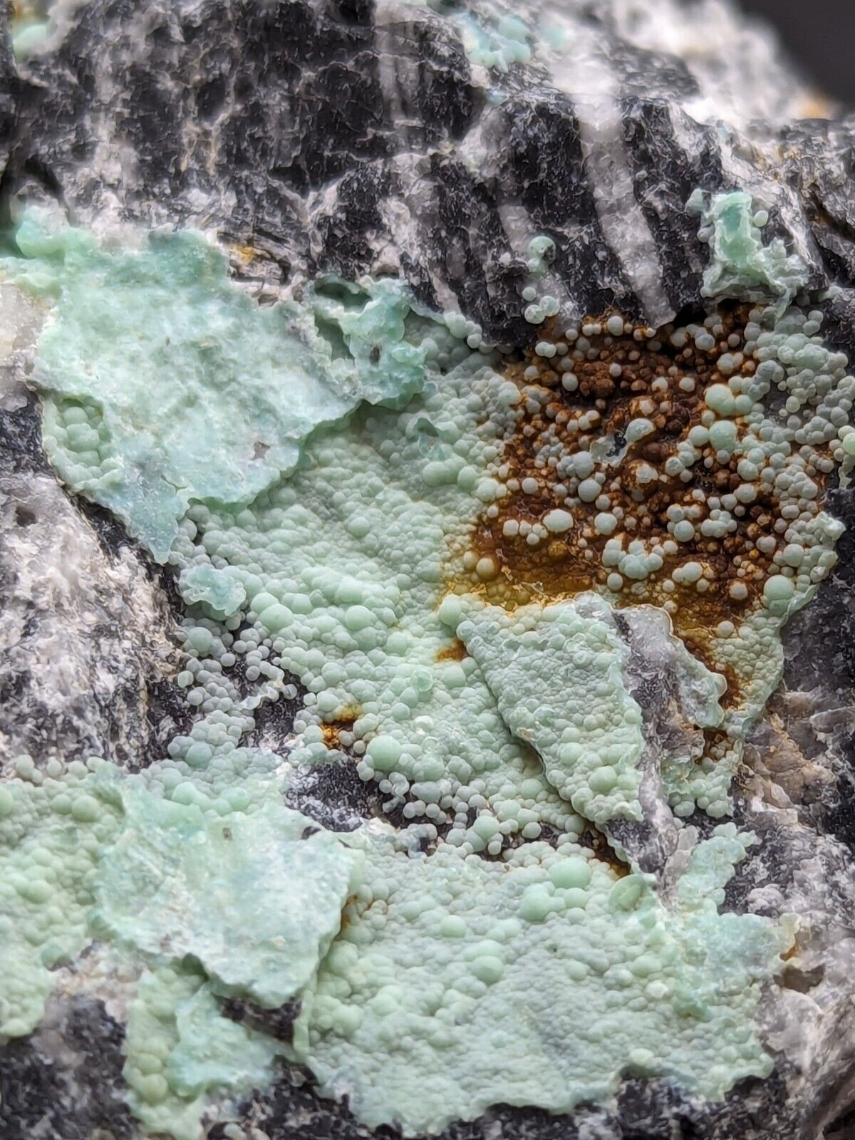 Planerite Mauldin Mountain Montgomery Co. Arkansas USA (Old Stock) - Collectibles:Rocks Fossils & Minerals:Crystals