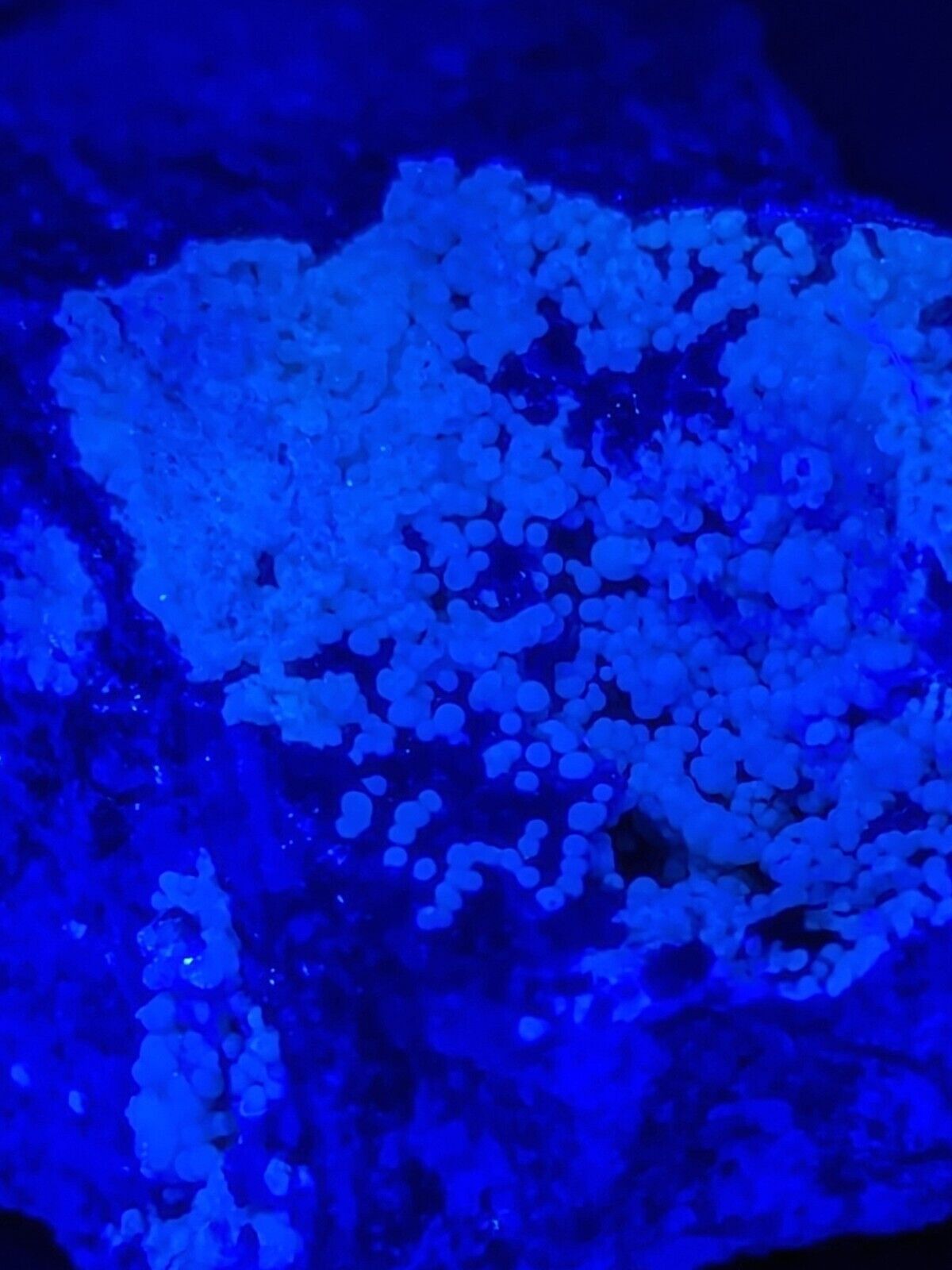Planerite Mauldin Mountain Montgomery Co. Arkansas USA (Old Stock) - Collectibles:Rocks Fossils & Minerals:Crystals