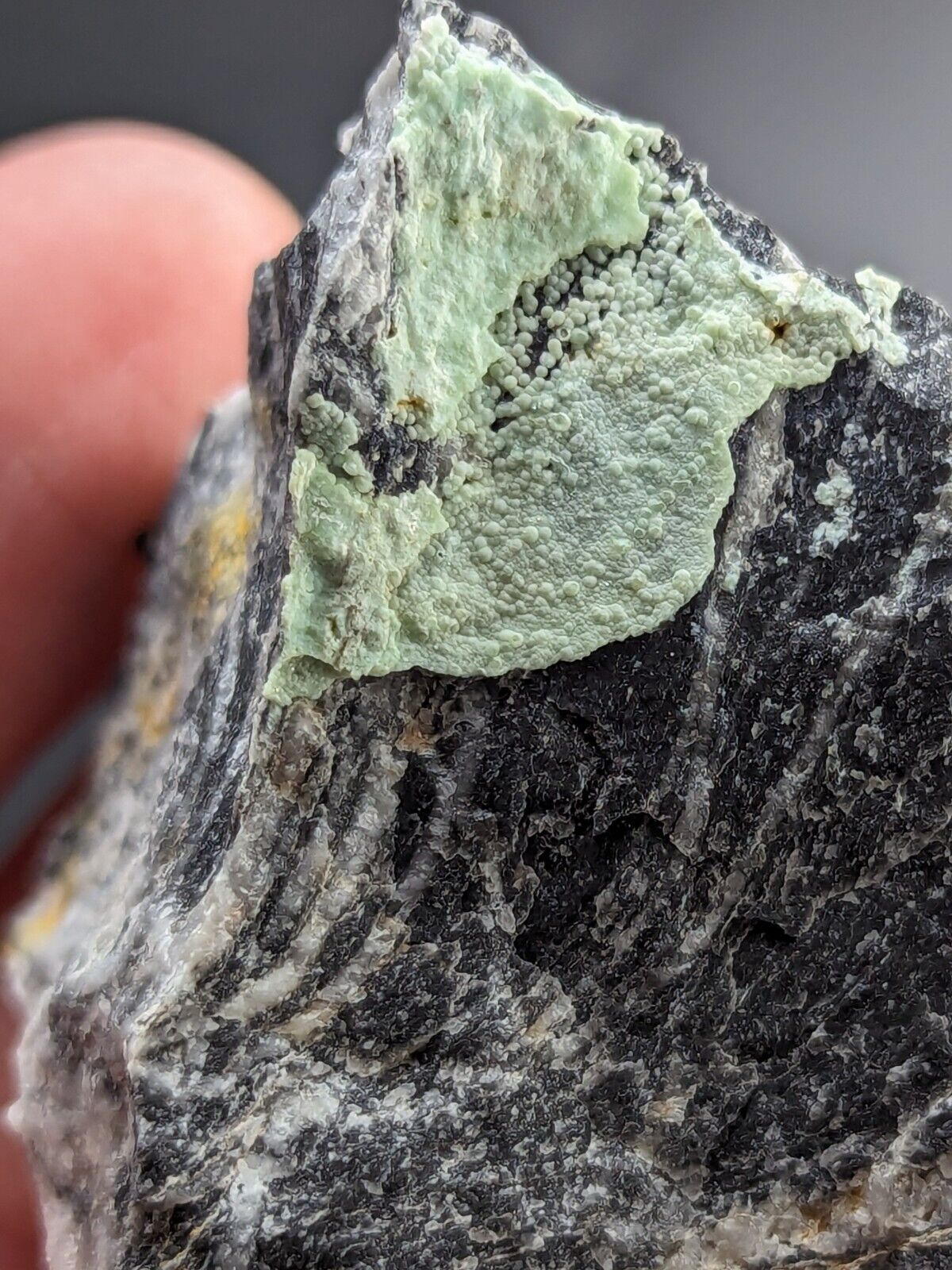Planerite Mauldin Mountain Montgomery Co. Arkansas USA (Old Stock) - Collectibles:Rocks Fossils & Minerals:Crystals