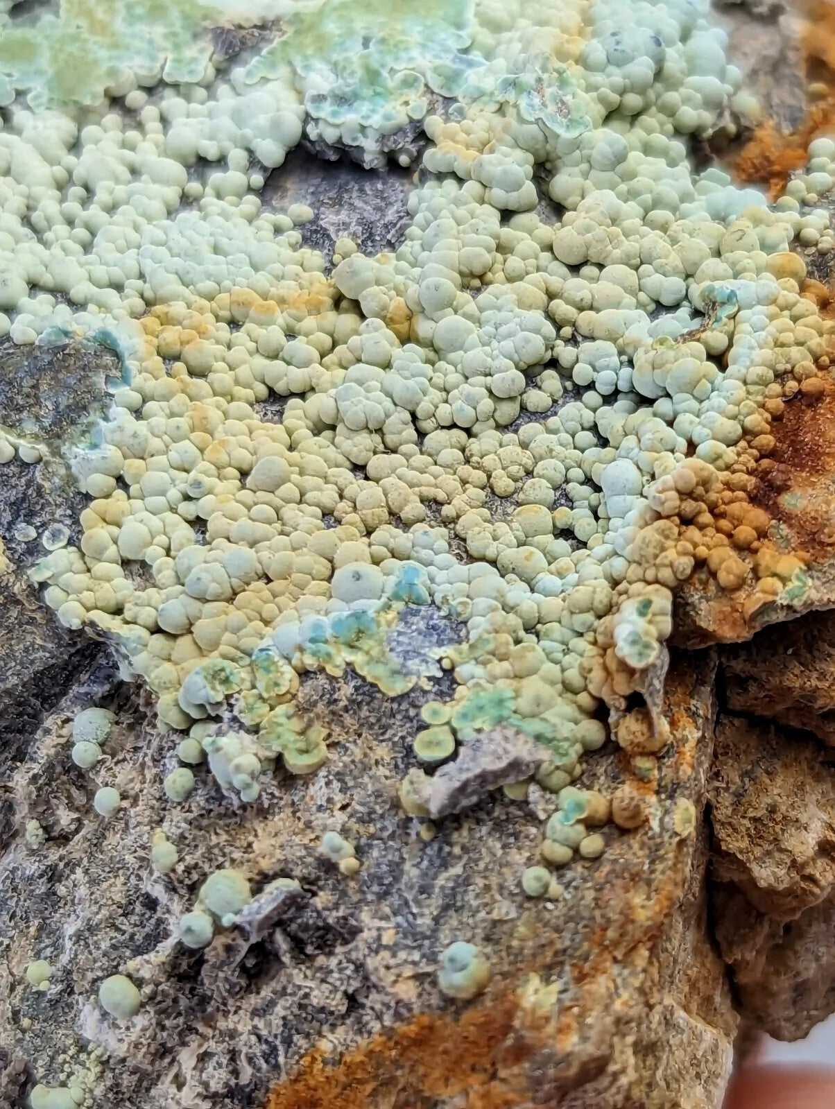 A textured, bumpy patch of lichen in soft green and yellow hues growing on a rough rock surface.