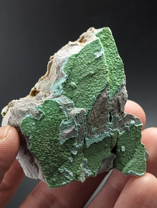 Planerite Mauldin Mountain Montgomery Co. Arkansas USA (Old Stock) - Collectibles:Rocks Fossils & Minerals:Crystals