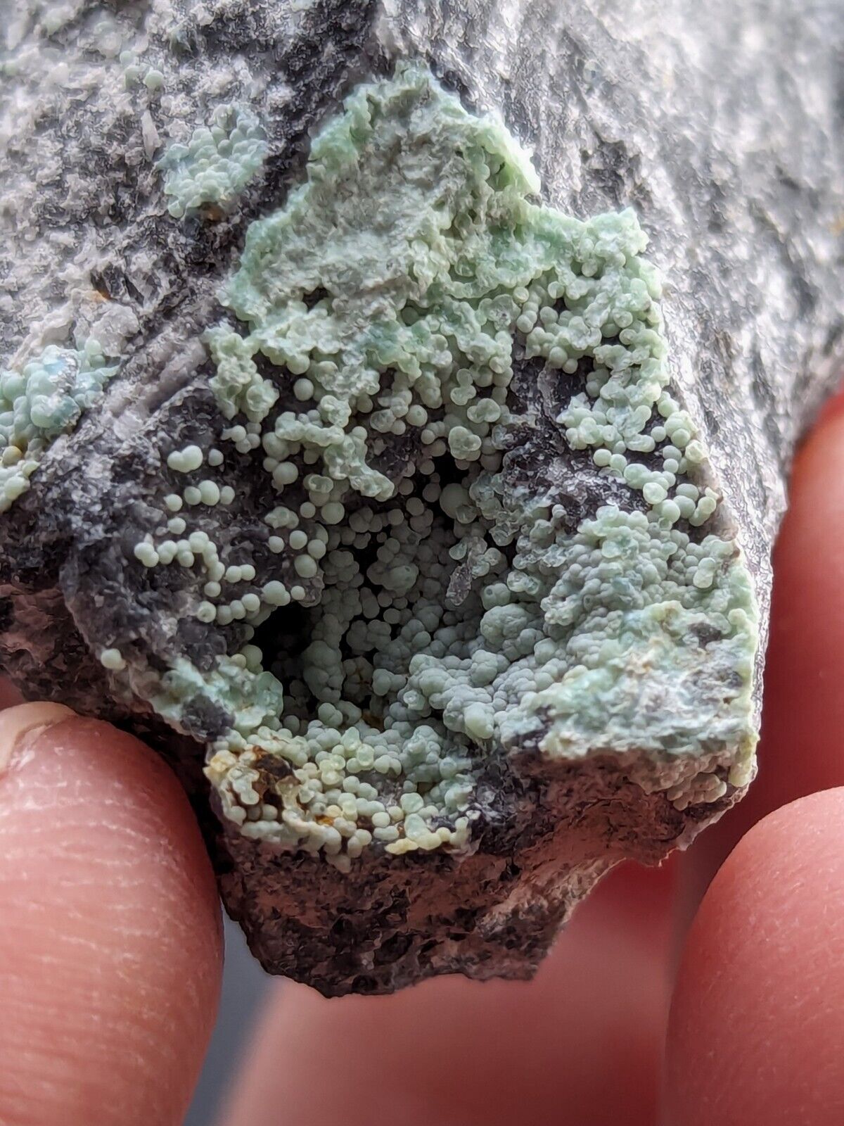 Planerite Mauldin Mountain Montgomery Co. Arkansas USA (Old Stock) - Collectibles:Rocks Fossils & Minerals:Crystals