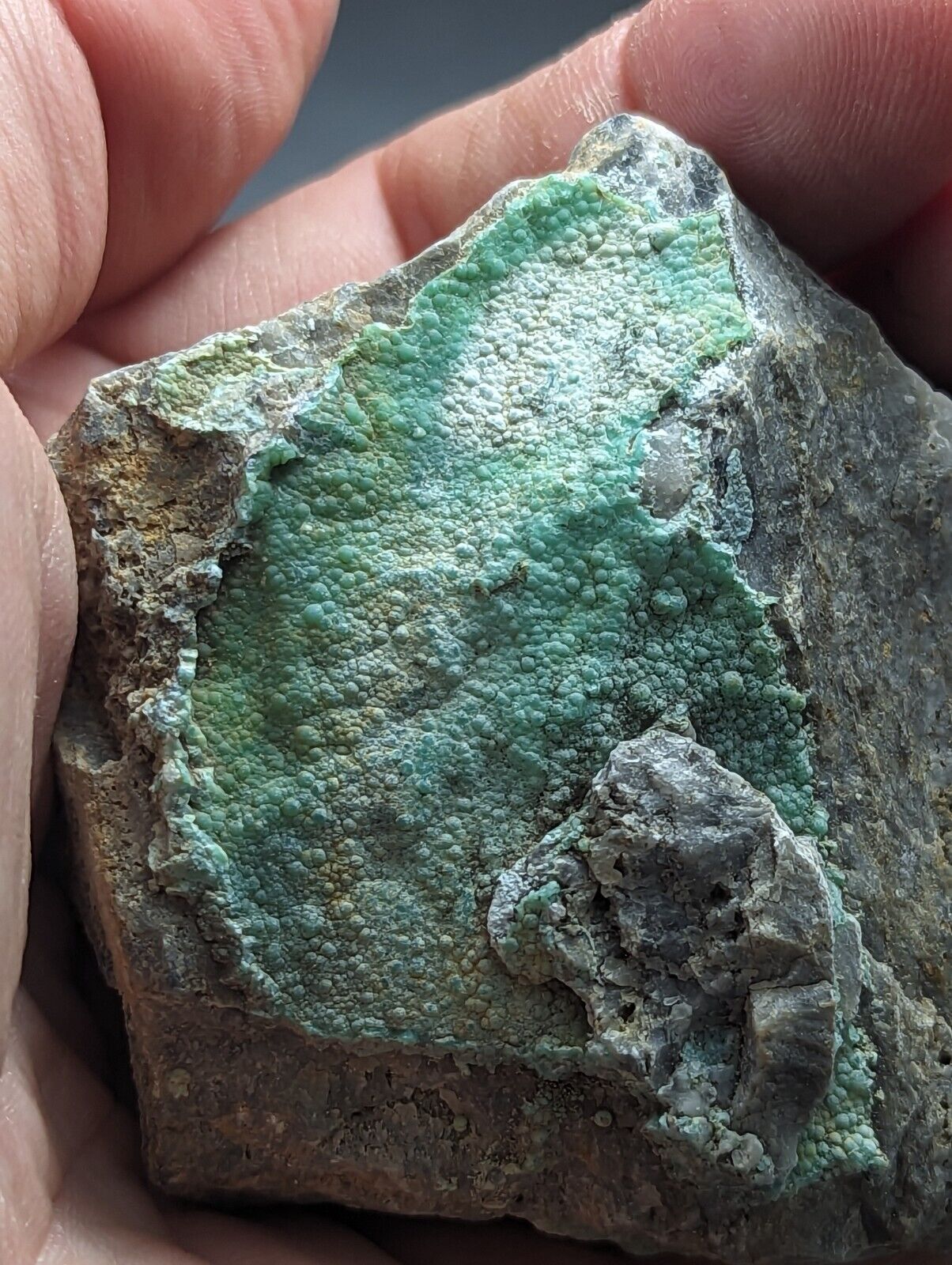 Planerite Mauldin Mountain Montgomery Co. Arkansas USA (Old Stock) - Collectibles:Rocks Fossils & Minerals:Crystals
