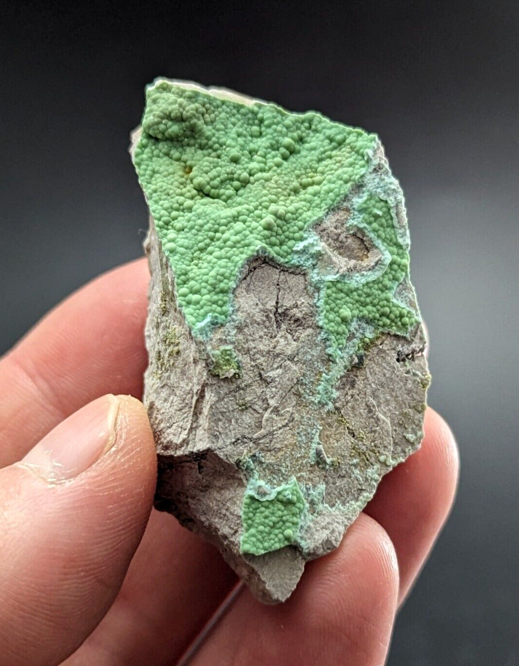 Planerite Mauldin Mountain Montgomery Co. Arkansas USA (Old Stock) ex Delinde - Collectibles:Rocks Fossils &