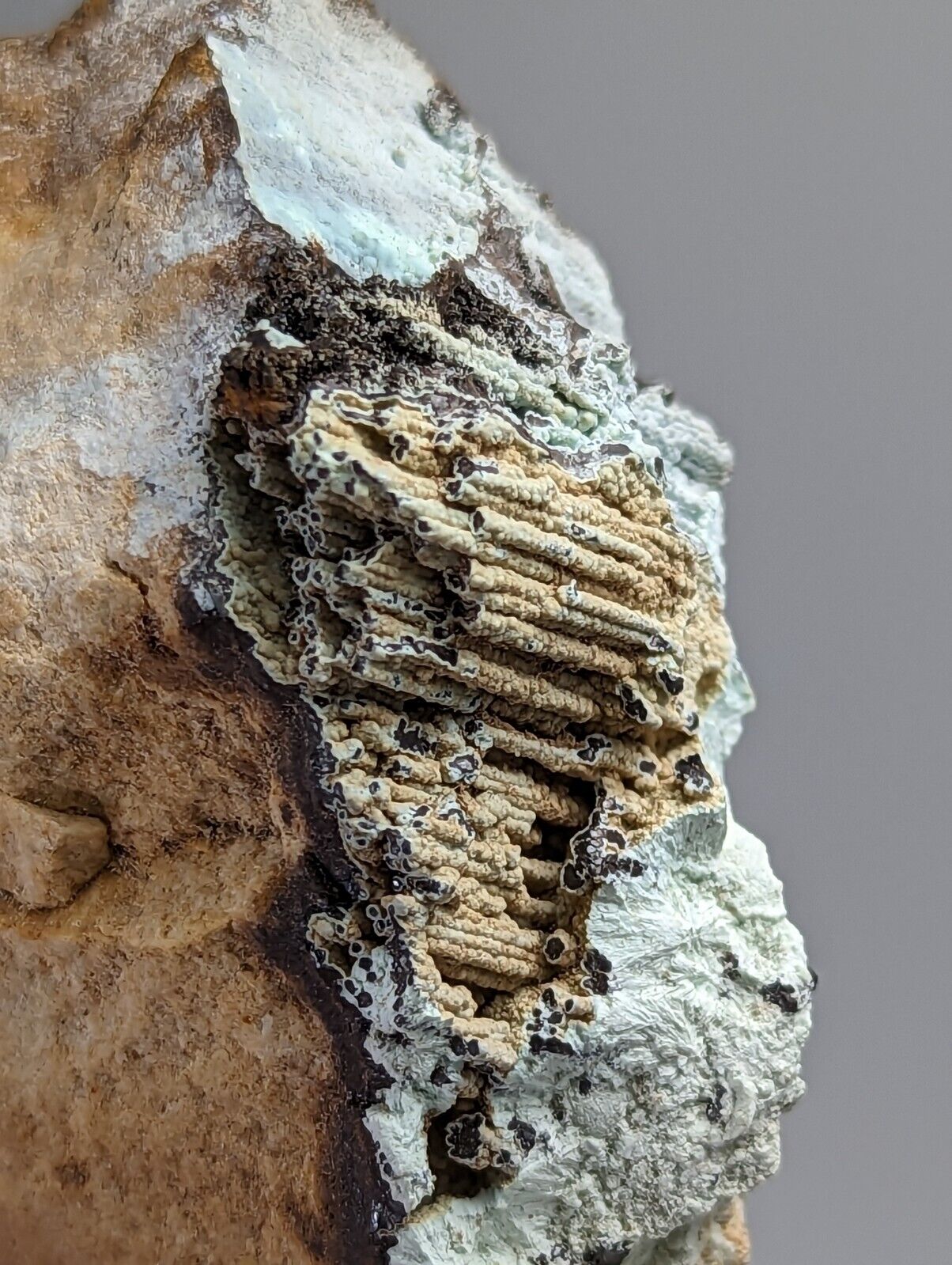 Planerite on Novaculite - Very RARE - old stock 1970s- York Mine Polk Arkansas - Collectibles:Rocks Fossils &