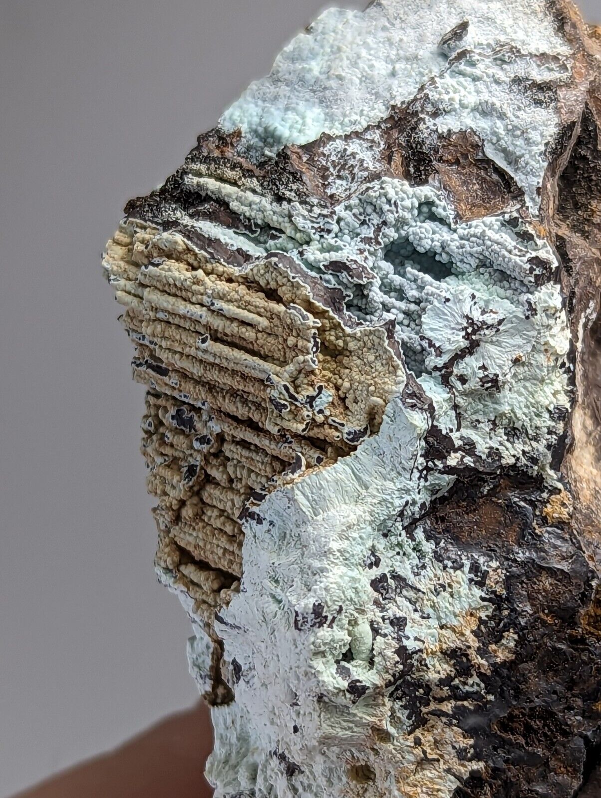 Planerite on Novaculite - Very RARE - old stock 1970s- York Mine Polk Arkansas - Collectibles:Rocks Fossils &
