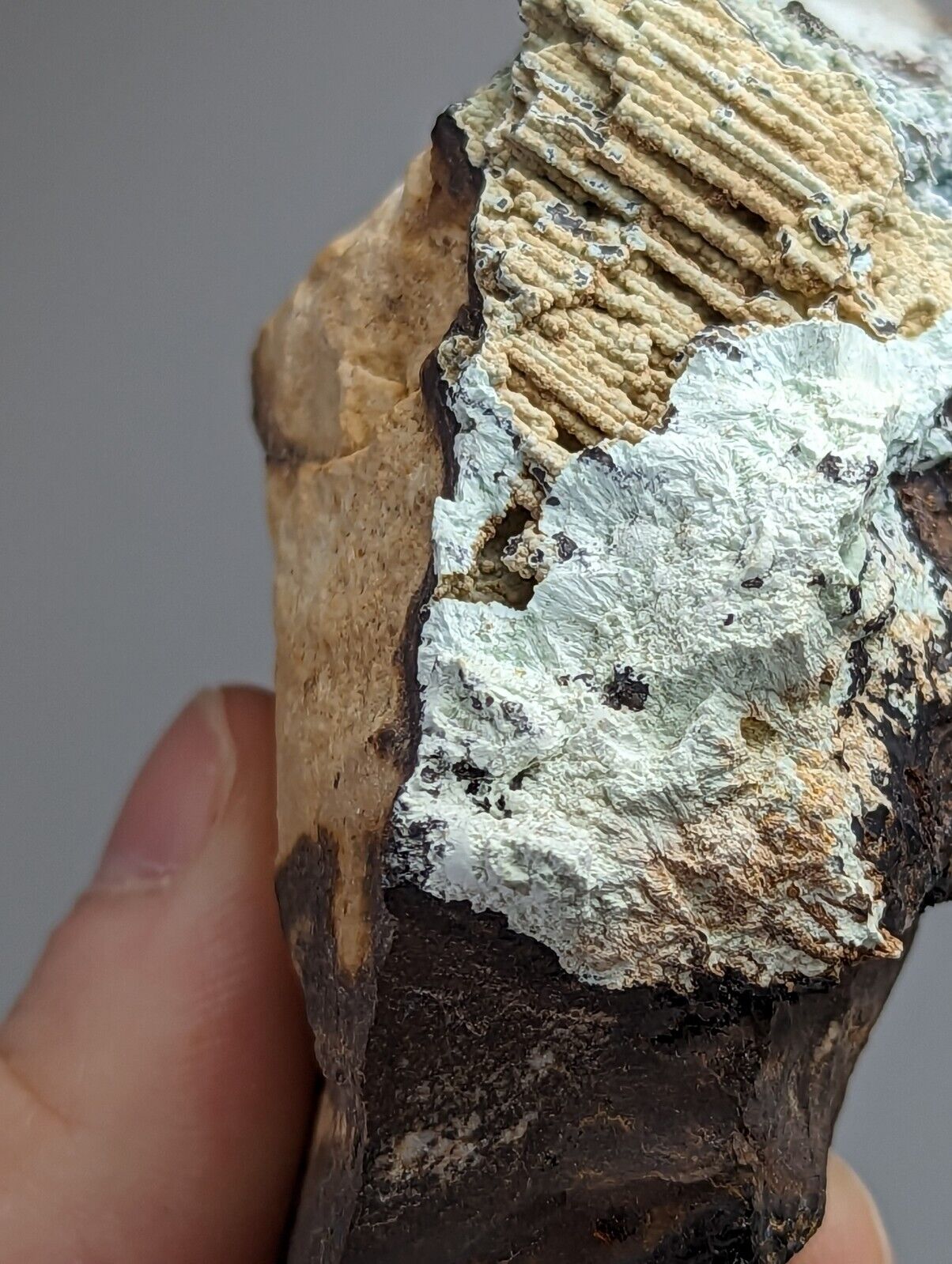 Planerite on Novaculite - Very RARE - old stock 1970s- York Mine Polk Arkansas - Collectibles:Rocks Fossils &